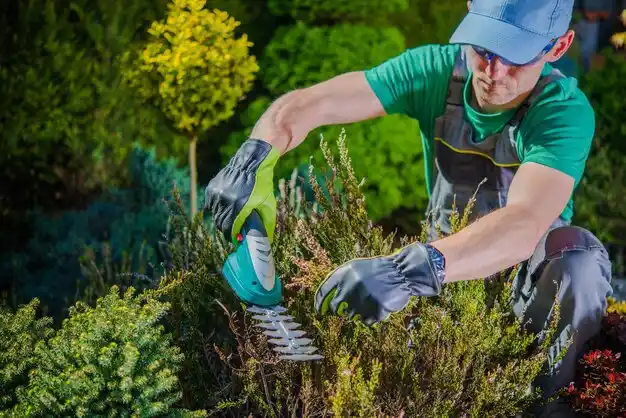 landscaping services Lordstown